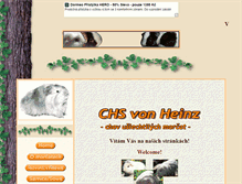 Tablet Screenshot of chs-von-heinz.mysteria.cz